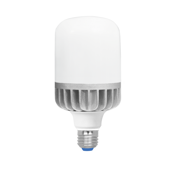 BÓNG ĐÈN LED CÔNG SUẤT LỚN - ELB7026/16W