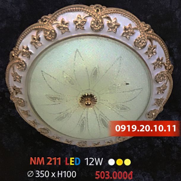 ĐÈN ỐP TRẦN NM 211